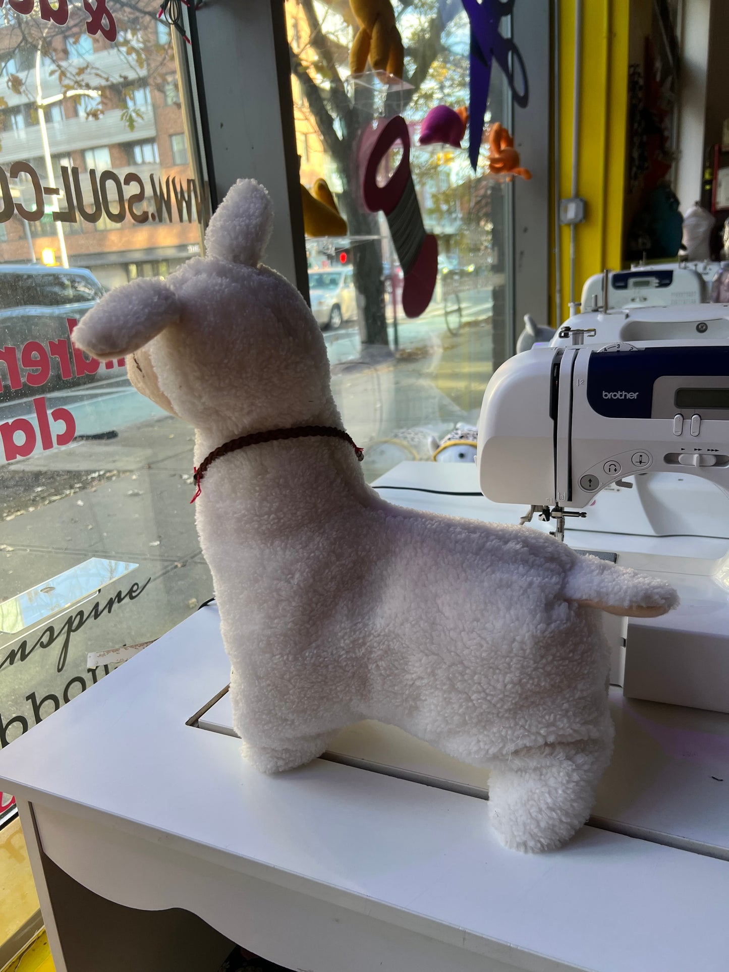 Mid-Winter Break Camp