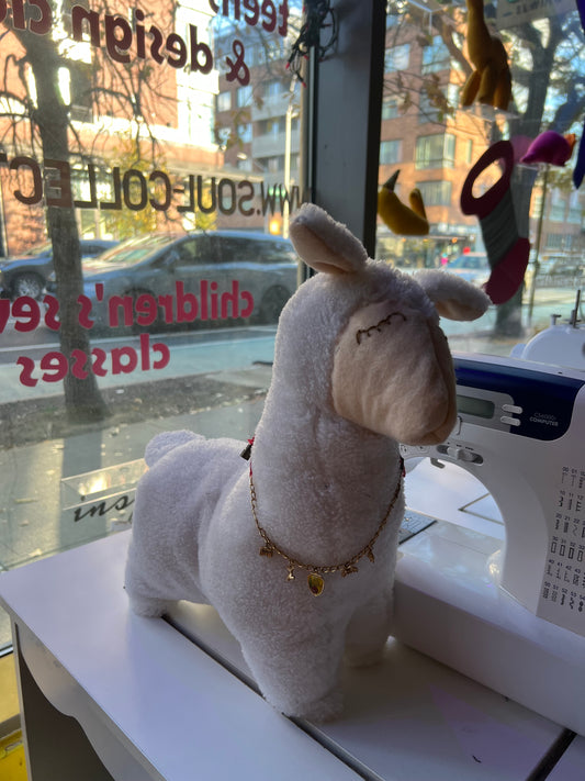 Mid-Winter Break Camp