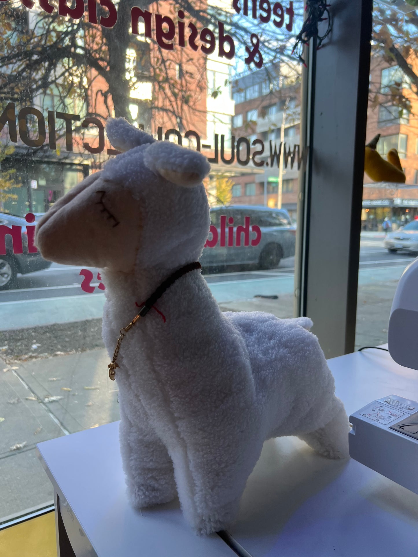 Mid-Winter Break Camp